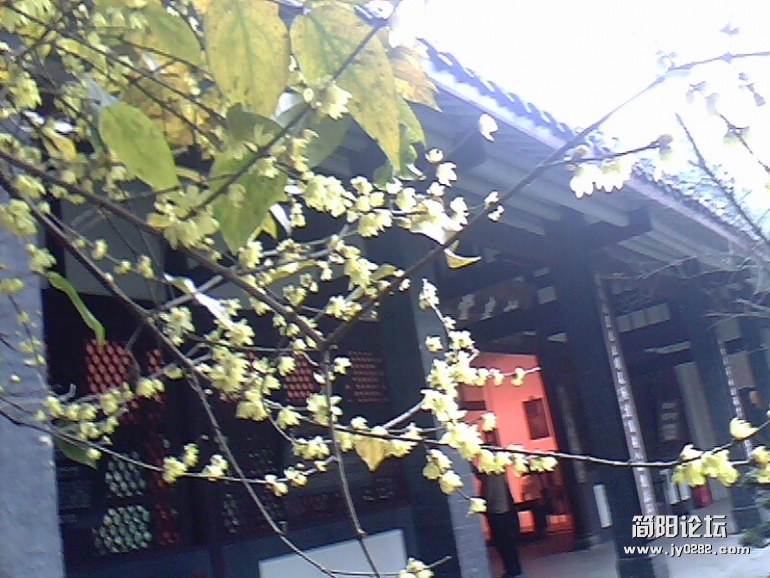 010112-1140.jpg