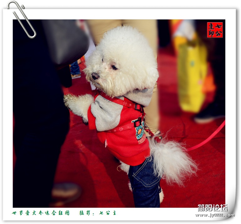 dsc_0005_副本.jpg