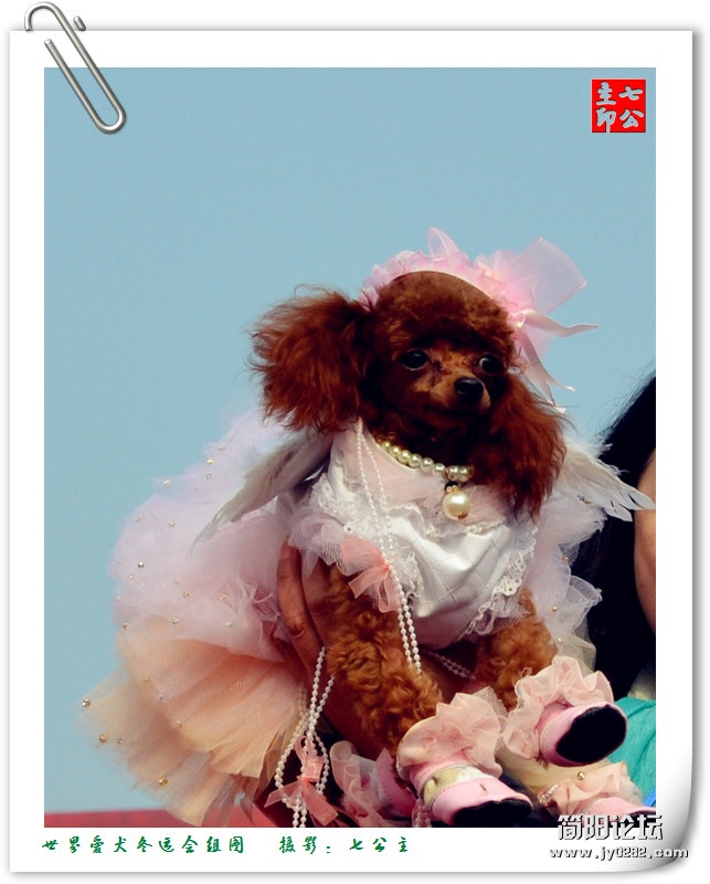 dsc_0082_副本.jpg