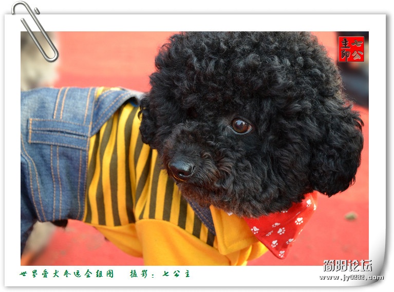 dsc_0120_副本.jpg
