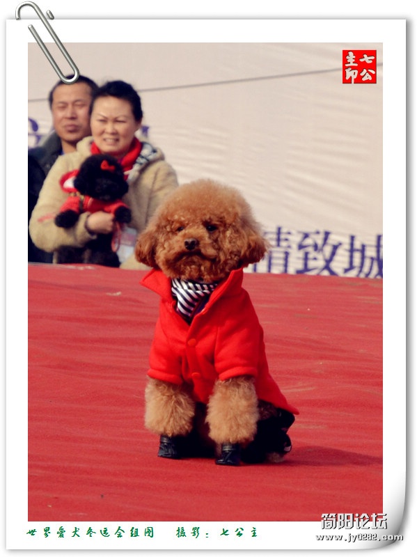 dsc_0146_副本.jpg