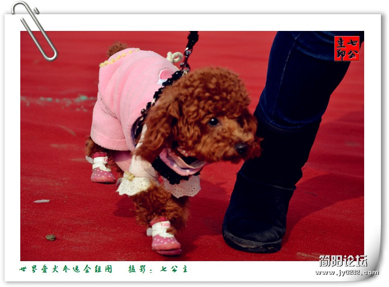 dsc_0164_副本.jpg
