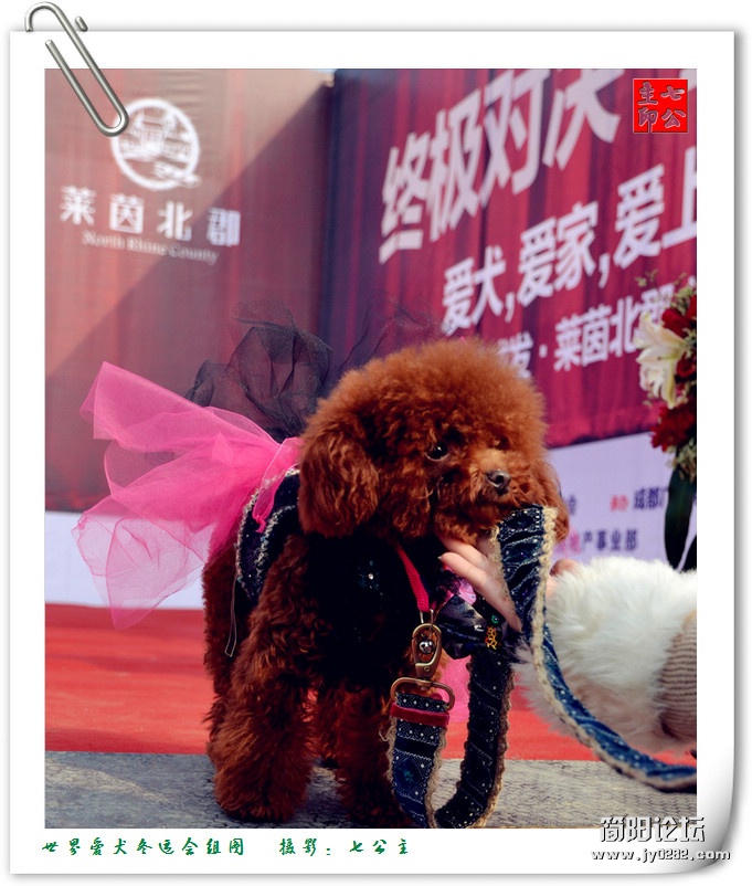 dsc_0175_副本.jpg