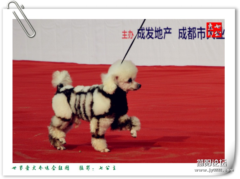 dsc_0196_副本.jpg