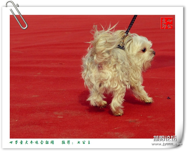 dsc_0219_副本.jpg