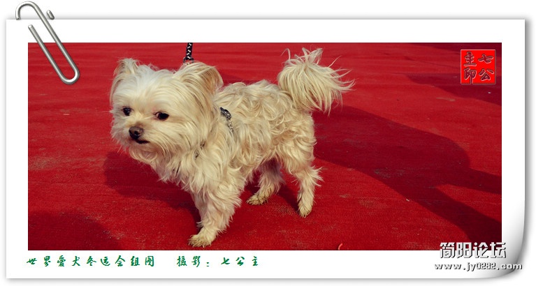 dsc_0221_副本.jpg
