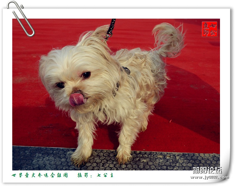 dsc_0223_副本.jpg