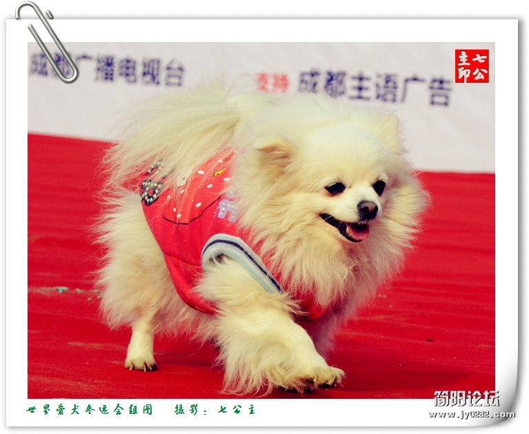dsc_0229_副本.jpg