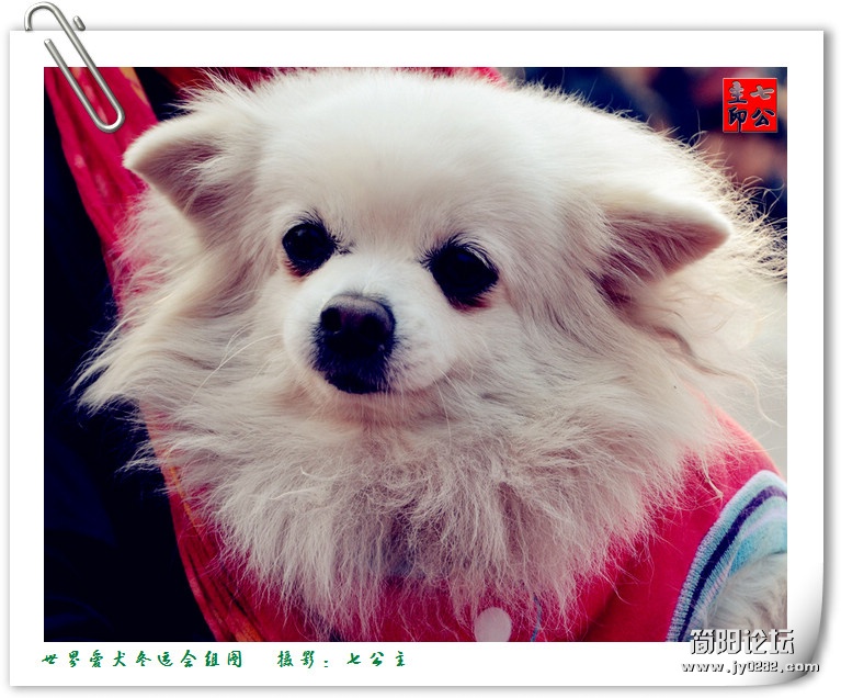 dsc_0231_副本.jpg