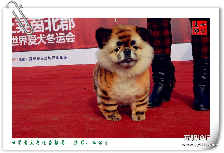 dsc_0242_副本.jpg
