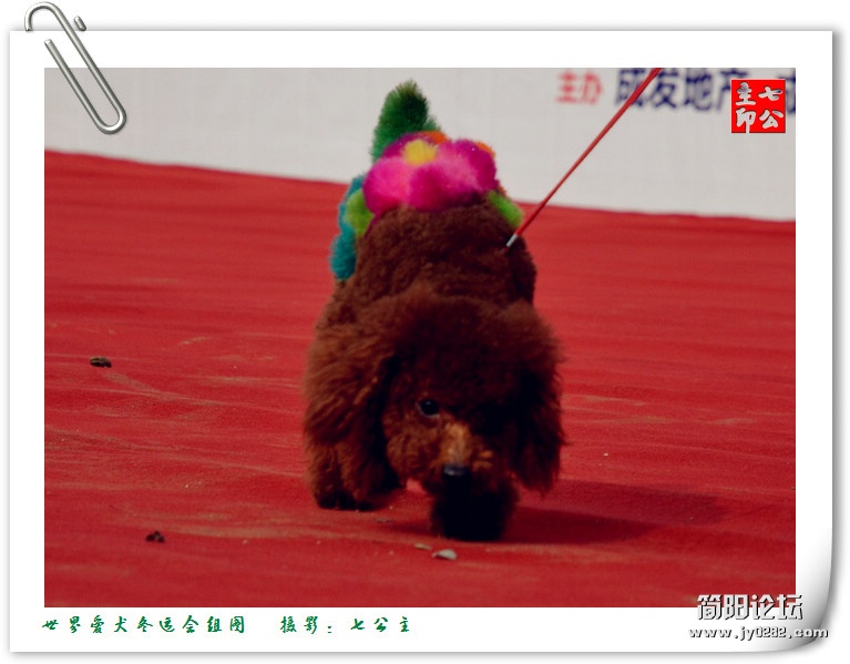dsc_0247_副本.jpg