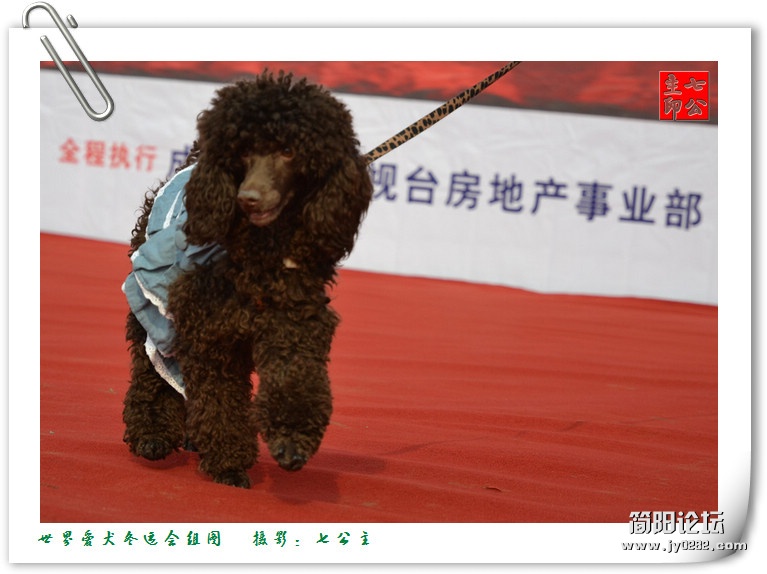 dsc_0253_副本.jpg