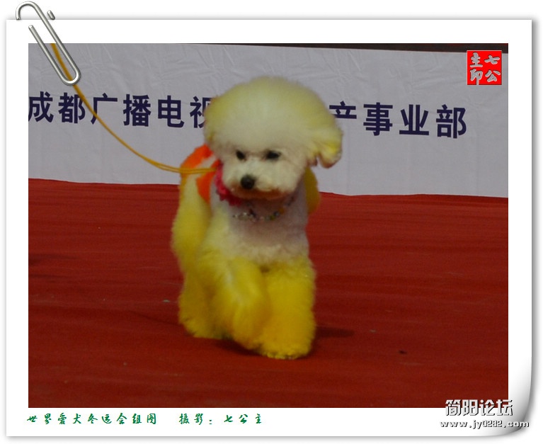 dsc_0291_副本.jpg