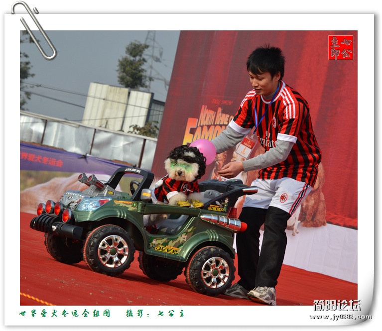 dsc_0338_副本.jpg