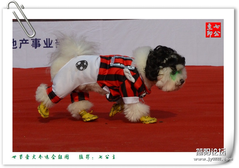 dsc_0340_副本.jpg