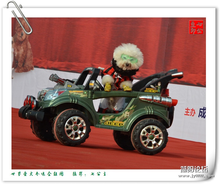 dsc_0345_副本.jpg