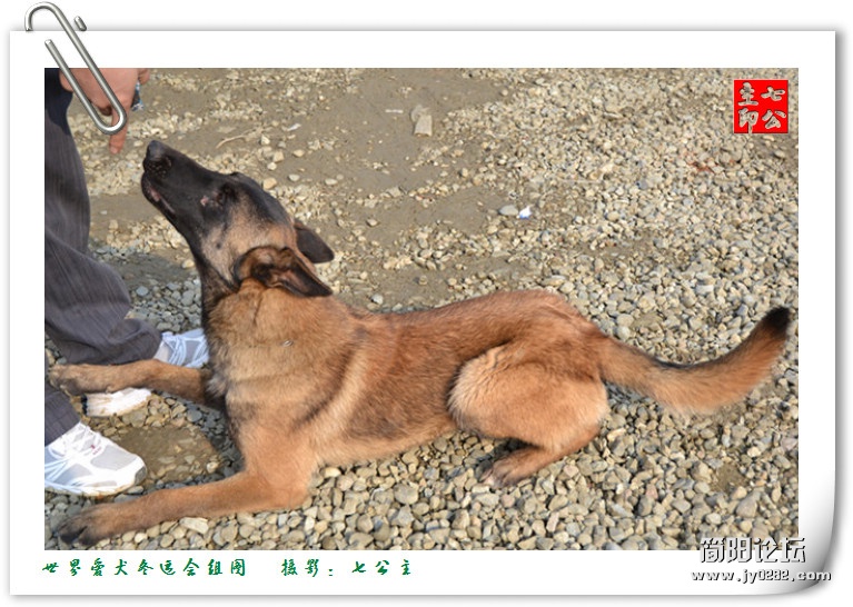 dsc_0418_副本.jpg
