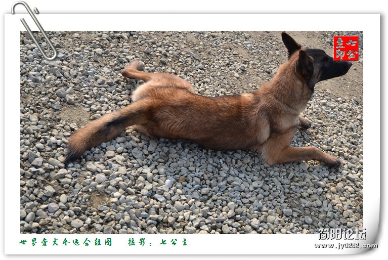 dsc_0421_副本.jpg