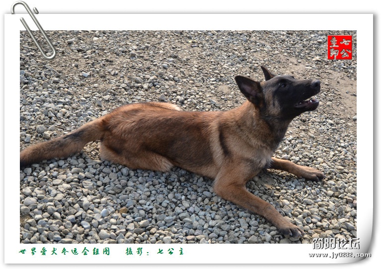 dsc_0424_副本.jpg