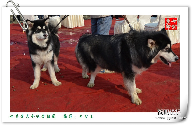 dsc_0475_副本.jpg