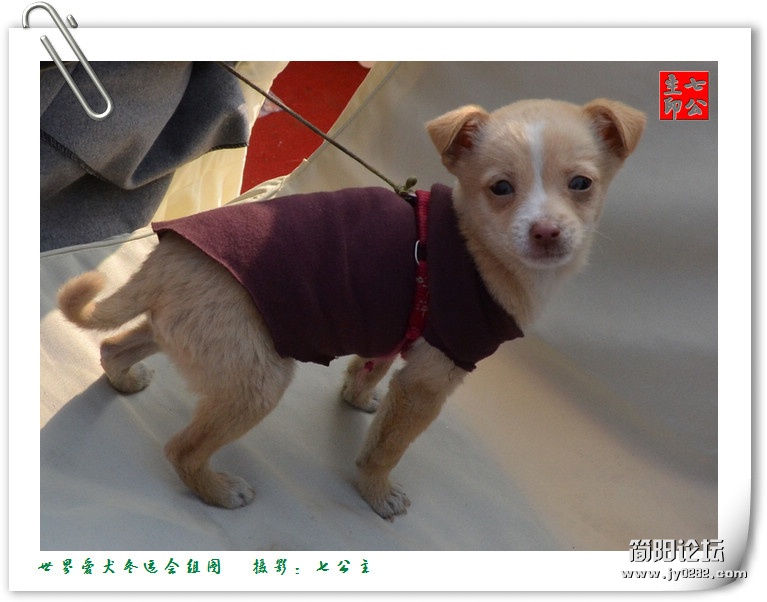 dsc_0481_副本.jpg