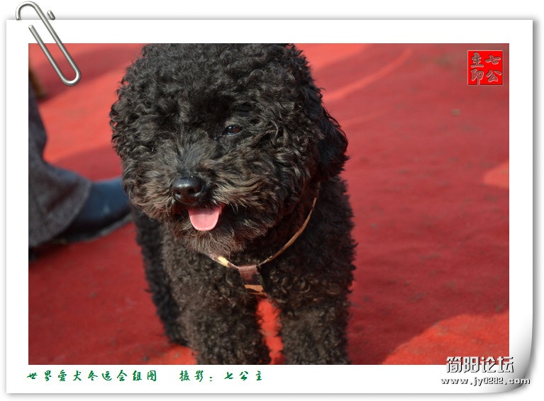 dsc_0493_副本.jpg