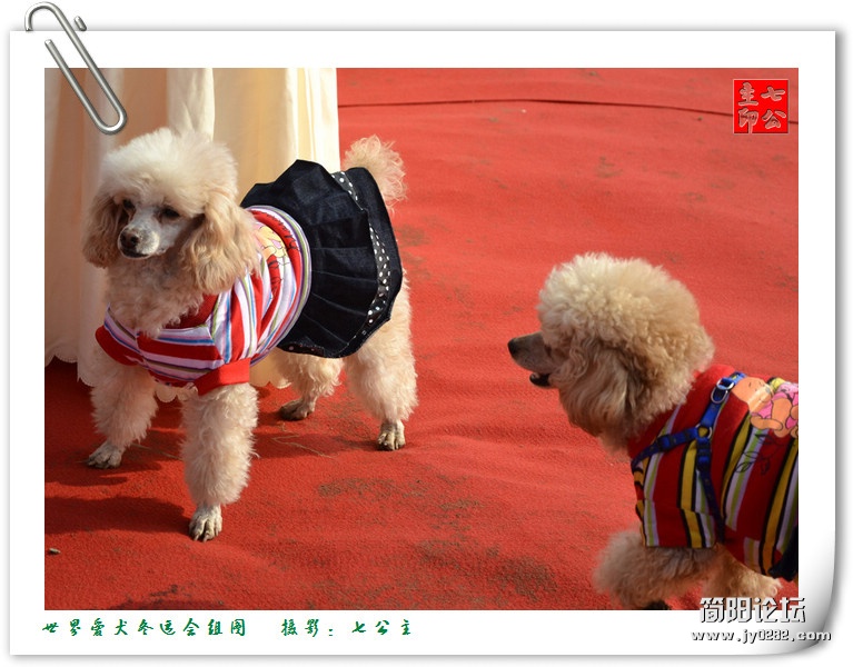 dsc_0504_副本.jpg