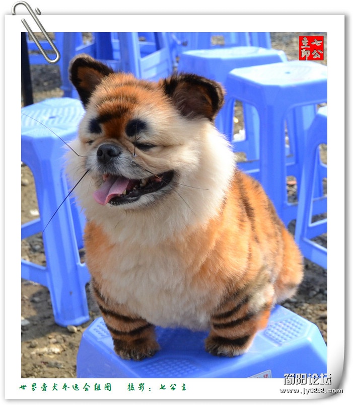 dsc_0525_副本.jpg