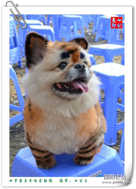 dsc_0528_副本.jpg