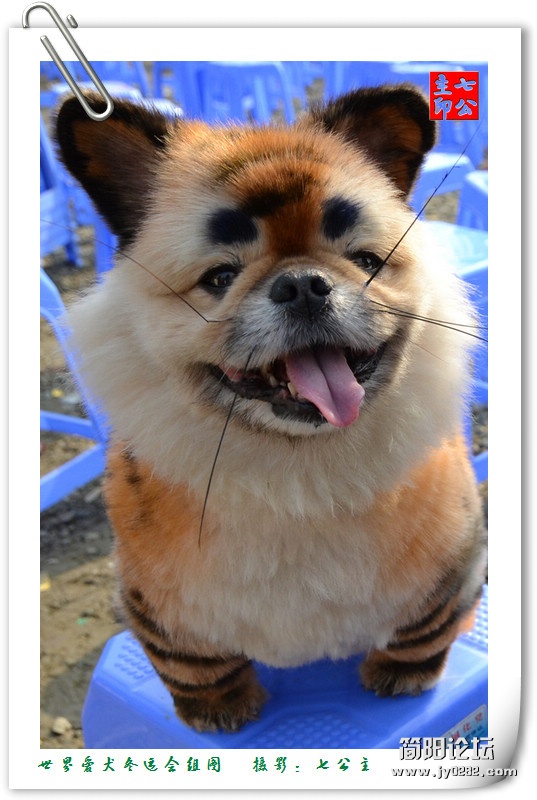 dsc_0530_副本.jpg