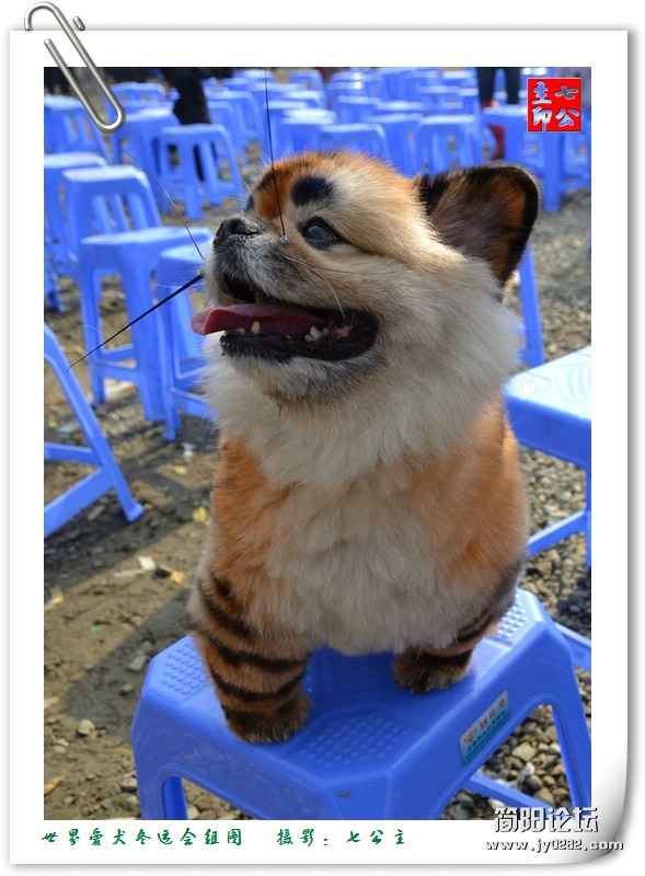 dsc_0532_副本.jpg