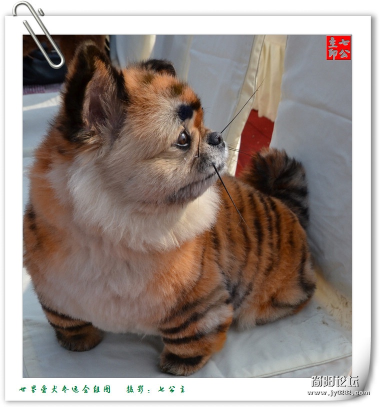 dsc_0534_副本.jpg