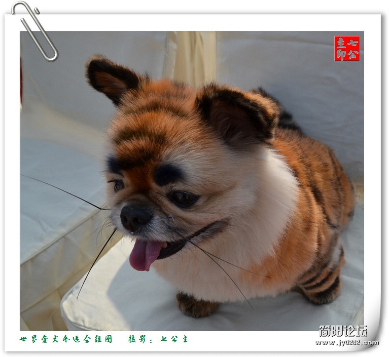 dsc_0535_副本.jpg