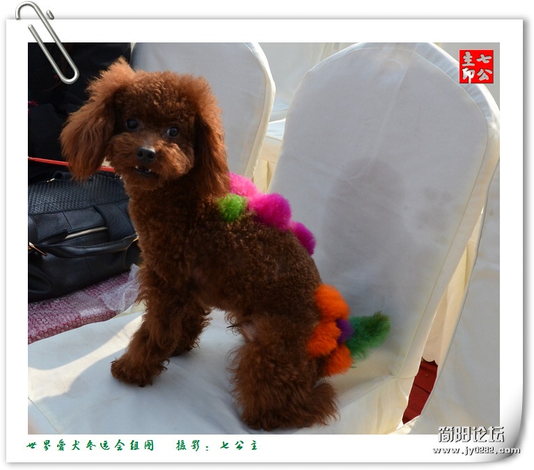 dsc_0538_副本.jpg