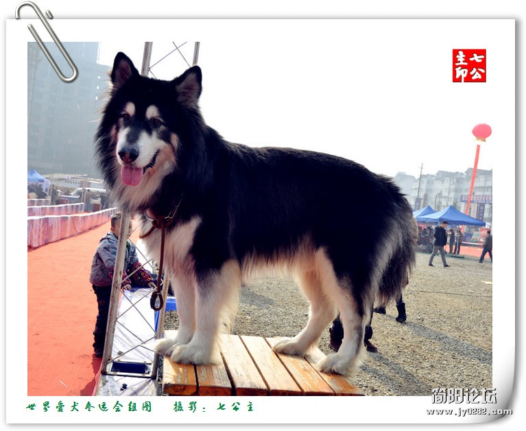 dsc_0546_副本.jpg