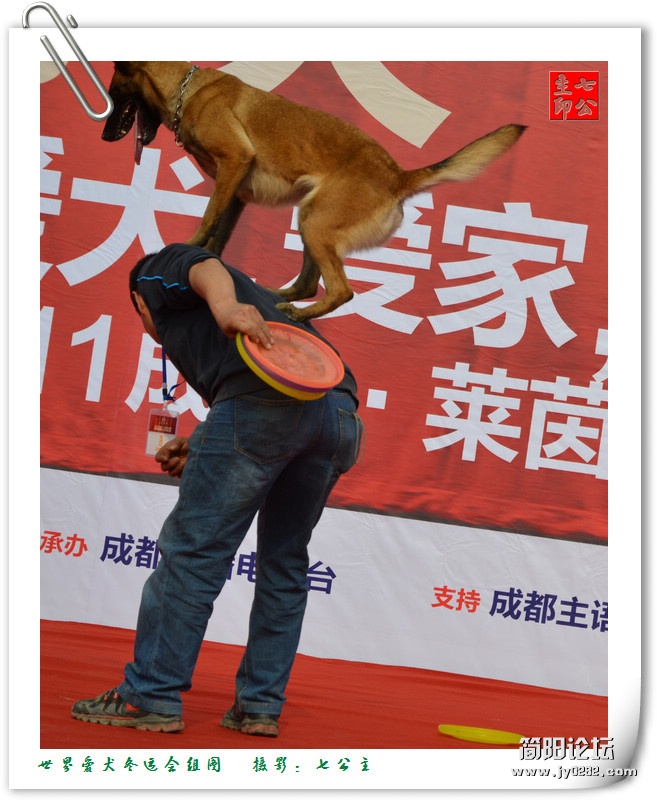 dsc_0601_副本.jpg