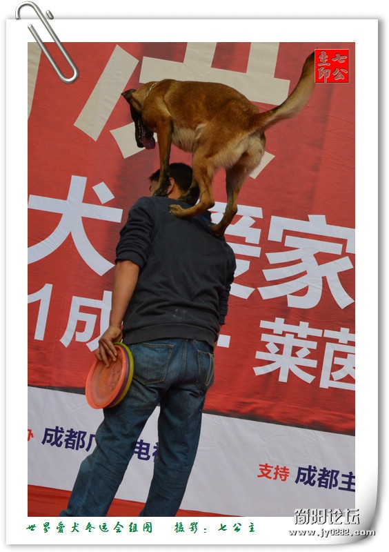 dsc_0602_副本.jpg