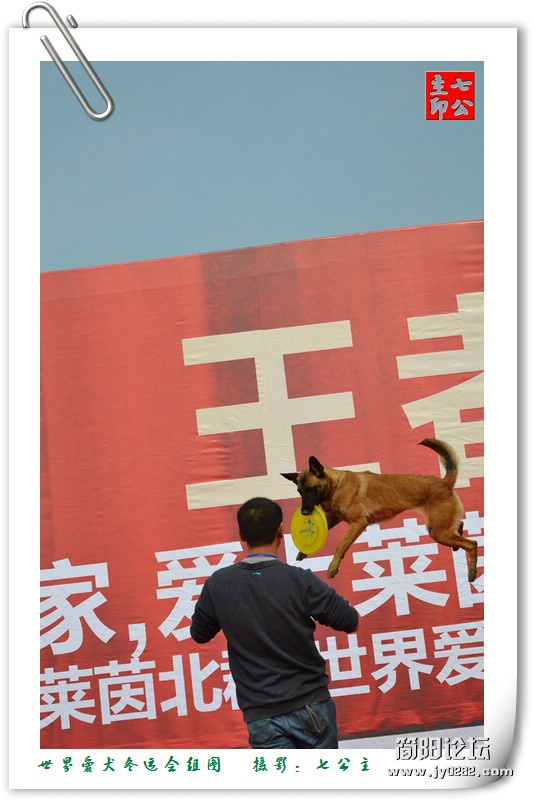 dsc_0611_副本.jpg