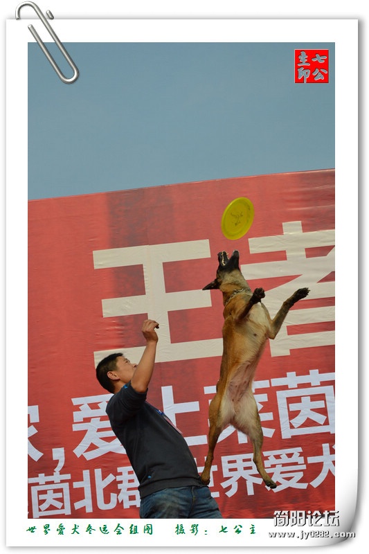 dsc_0612_副本.jpg