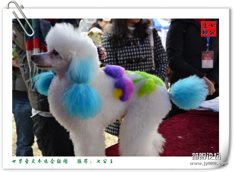 dsc_0639_副本.jpg
