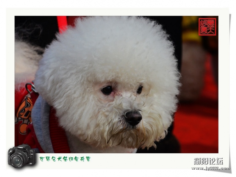 DSC_8496 - 副本.jpg