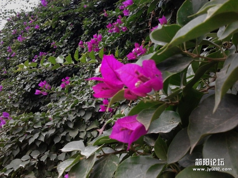 2011-11-30 10.54.30.jpg