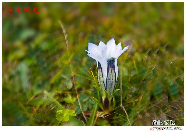新疆行八——沿途风光05副本.jpg