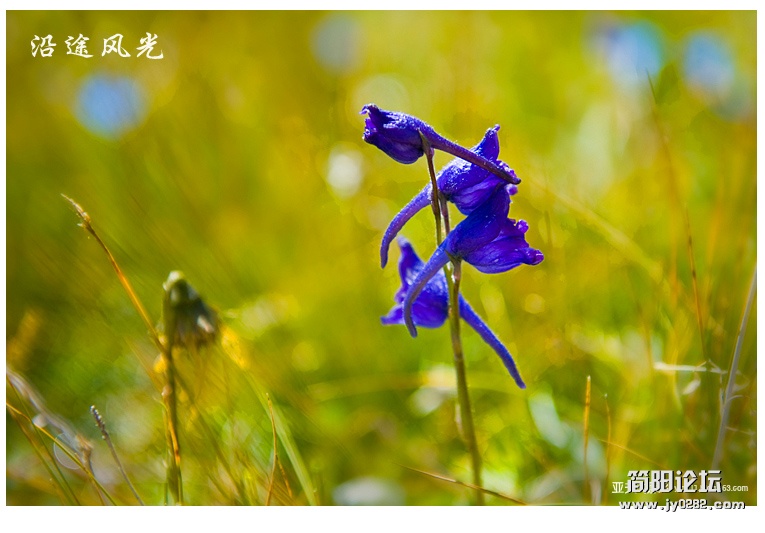 新疆行八——沿途风光07副本.jpg