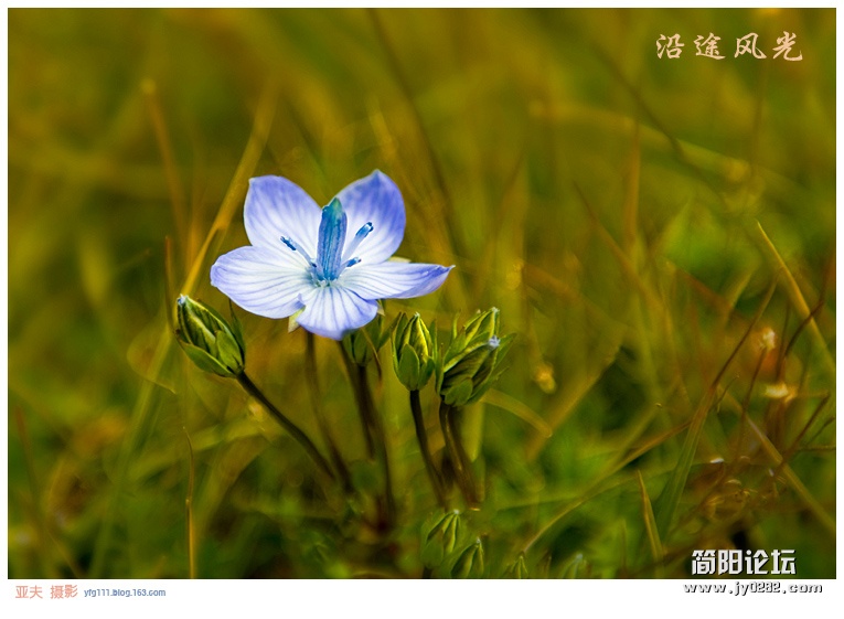 新疆行八——沿途风光06副本.jpg