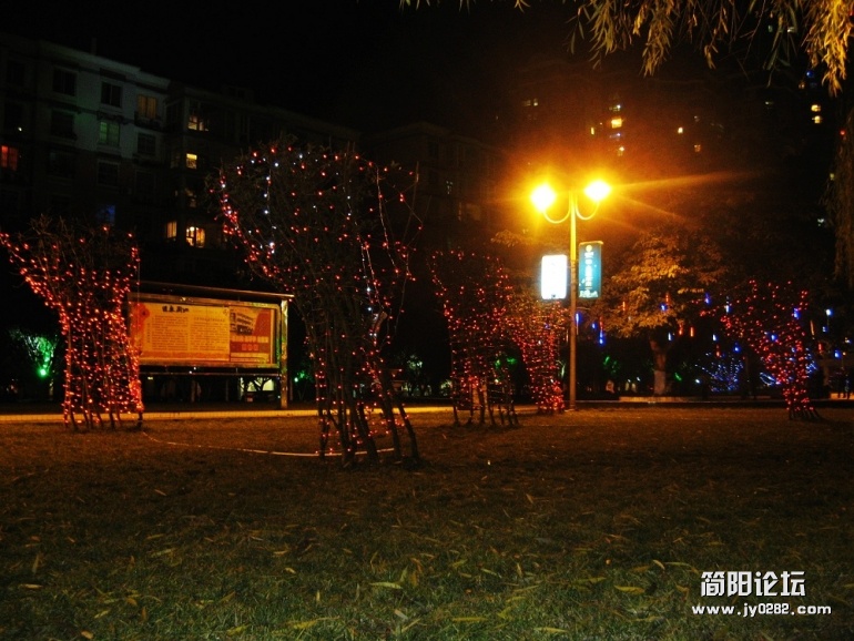 IMG_7363.jpg