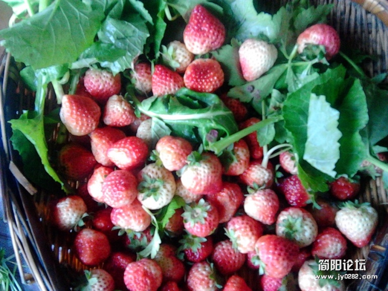 IMG_20120127_171740.jpg