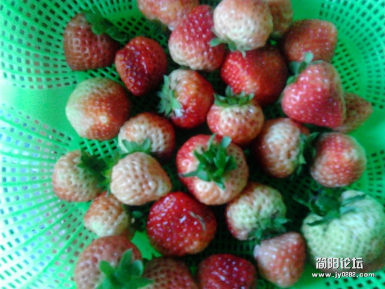 IMG_20120127_171806.jpg