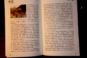 九莲灯，杀生者的救济赎2
