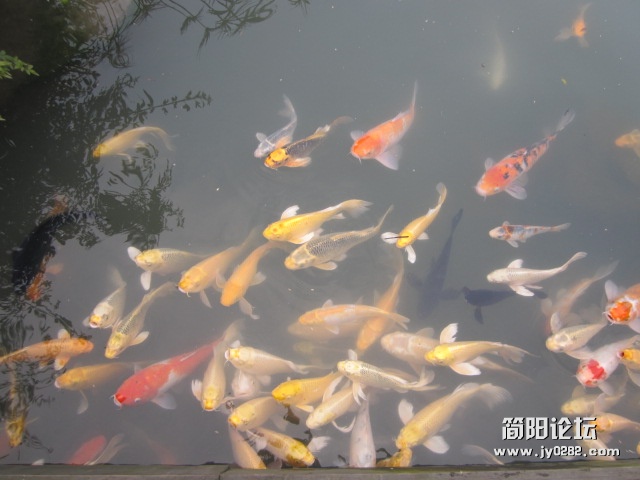 照片 128.jpg